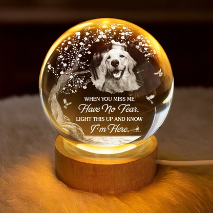 Custom Photo Crystal Globe Lamp - Personalized Pet Memorial Sympathy Gifts For Dogs, Cats - Gone Yet Always Near