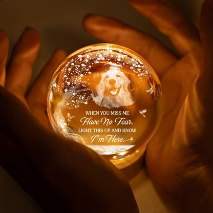 Custom Photo Crystal Globe Lamp - Personalized Pet Memorial Sympathy Gifts For Dogs, Cats - Gone Yet Always Near