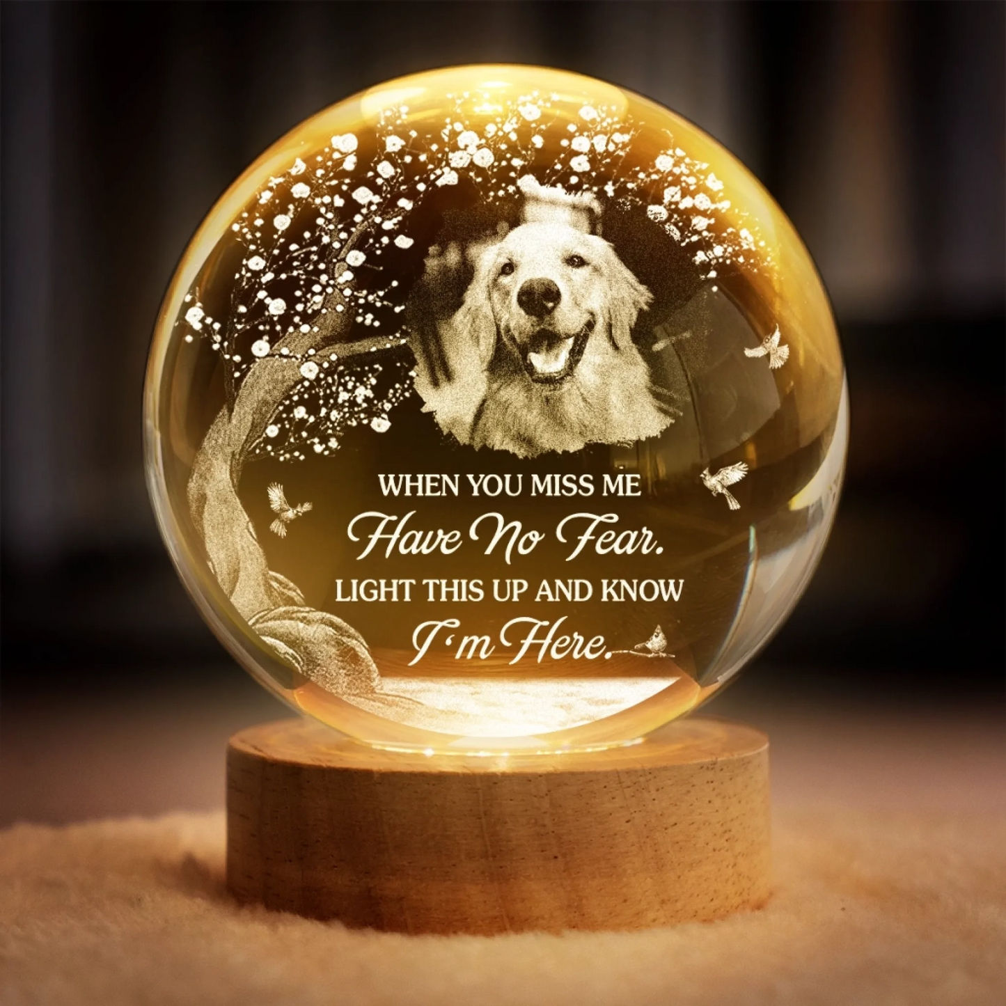Custom Photo Crystal Globe Lamp - Personalized Pet Memorial Sympathy Gifts For Dogs, Cats - Gone Yet Always Near