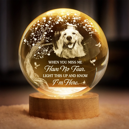 Custom Photo Crystal Globe Lamp - Personalized Pet Memorial Sympathy Gifts For Dogs, Cats - Gone Yet Always Near