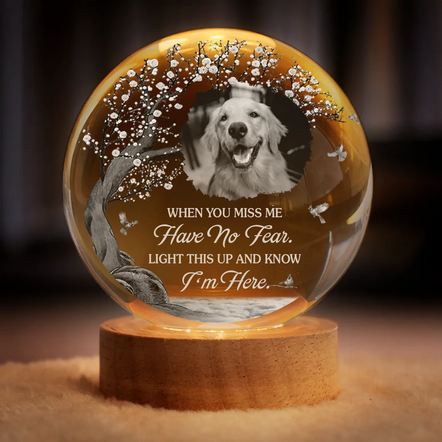 Custom Photo Crystal Globe Lamp - Personalized Pet Memorial Sympathy Gifts For Dogs, Cats - Gone Yet Always Near