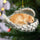 In Angel Wings - Personalized Custom Acrylic Ornament