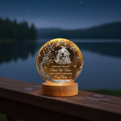Custom Photo Crystal Globe Lamp - Personalized Pet Memorial Sympathy Gifts For Dogs, Cats - Gone Yet Always Near