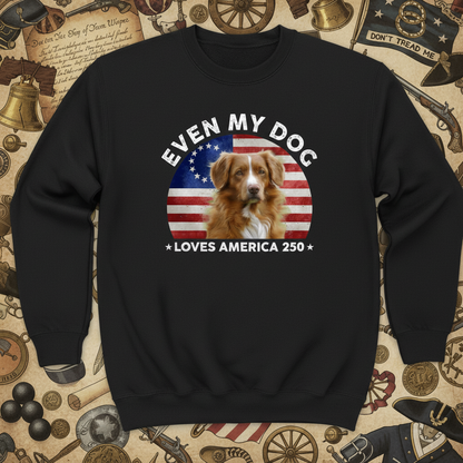 Custom Photo Even My Dogs Love America 250 Dark Sweatshirt