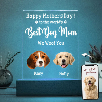 Custom Acrylic Photo Night Light with Face Cutout – Unique Personalized Gift