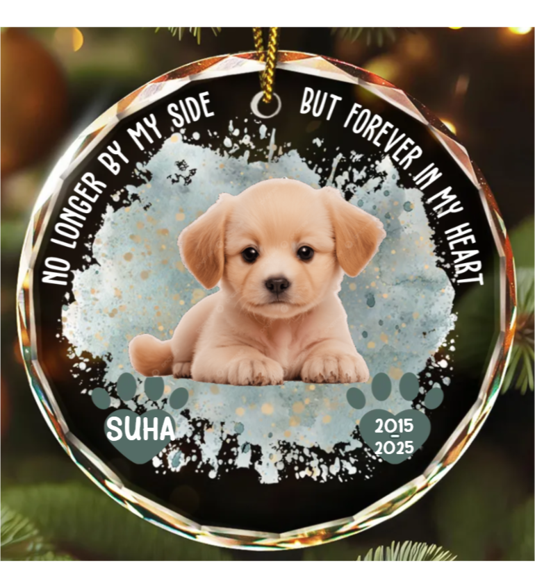 Custom Photo Memorial Dog Cat Favorite Hello & Hardest Goodbye - Personalized Circle Glass Ornament