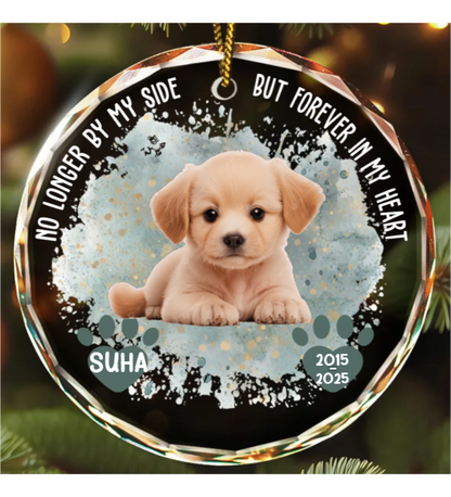 Custom Photo Memorial Dog Cat Favorite Hello & Hardest Goodbye - Personalized Circle Glass Ornament