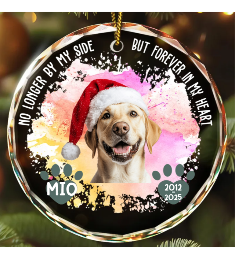 Custom Photo Memorial Dog Cat Favorite Hello & Hardest Goodbye - Personalized Circle Glass Ornament