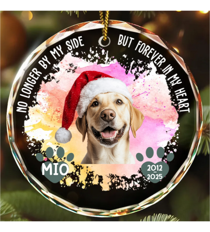 Custom Photo Memorial Dog Cat Favorite Hello & Hardest Goodbye - Personalized Circle Glass Ornament