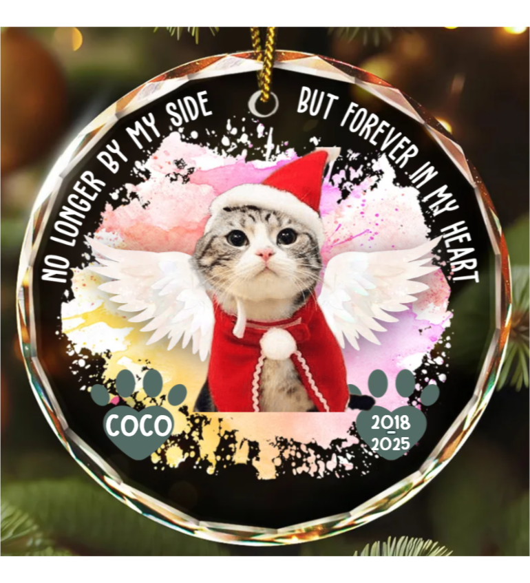 Custom Photo Memorial Dog Cat Favorite Hello & Hardest Goodbye - Personalized Circle Glass Ornament