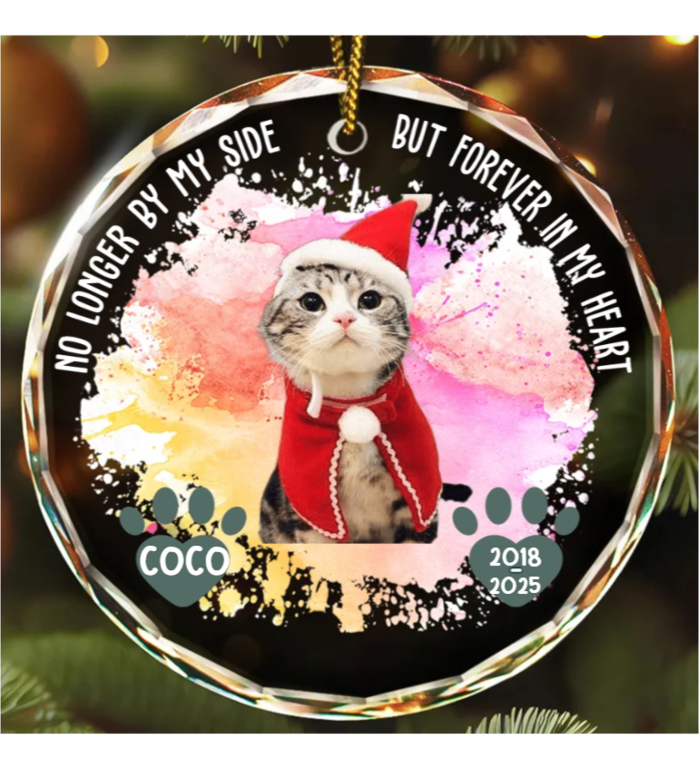 Custom Photo Memorial Dog Cat Favorite Hello & Hardest Goodbye - Personalized Circle Glass Ornament